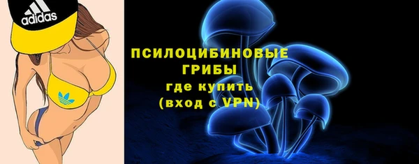 скорость Алексин