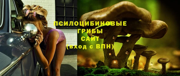 скорость Алексин